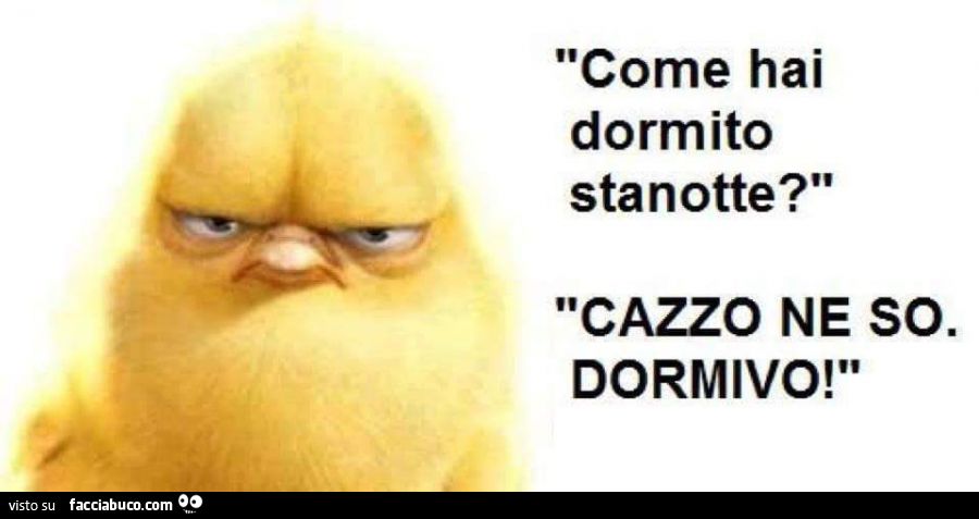 Come Hai Dormito Stanotte Cazzo Ne So Dormivo Facciabuco