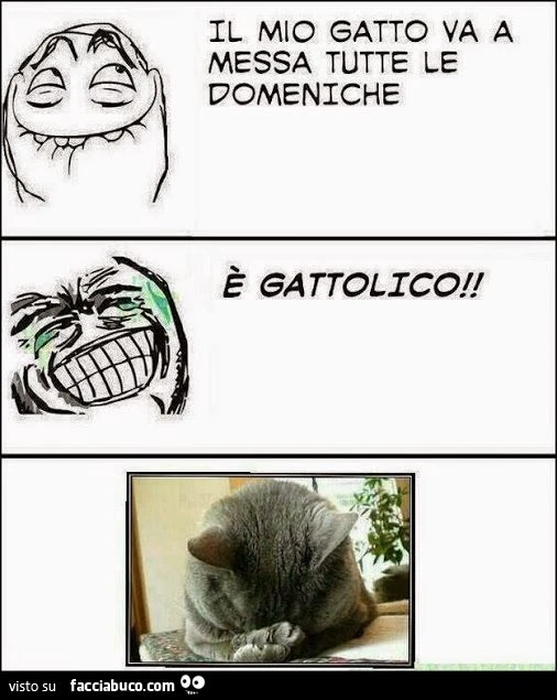 il mio gatto va a messa tutte le domeniche... è gattolico meme