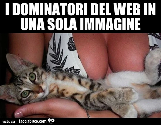 I dominatori del web in una sola immagine