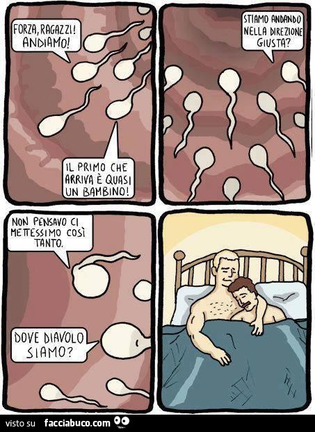 Spermatozoi: forza ragazzi andiamo! Il primo che arriva è quasi un bambino! Stiamo andando nella direzione giusta? Non pensavo ci mettessimo così tanto. Dove diavolo siamo?