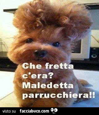 Che fretta c'era? Maledetta parrucchiera