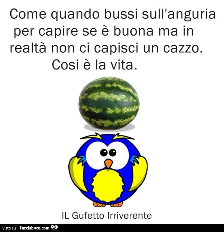 Come quando bussi sull'anguria per capire se è buona ma in realtà non ci capisci un cazzo. Così è la vita