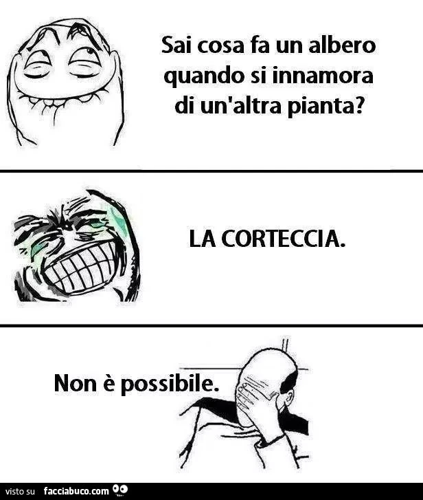 Sai cosa fa un albero quando si innamora di un'altra pianta?