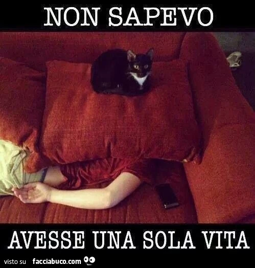 Non sapevo avesse una sola vita