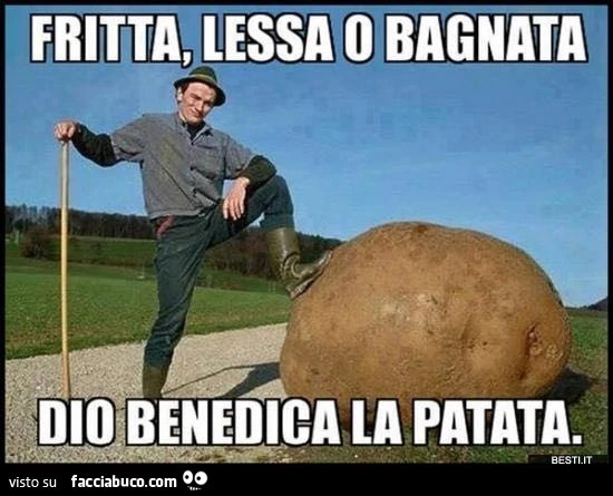 Vaccata