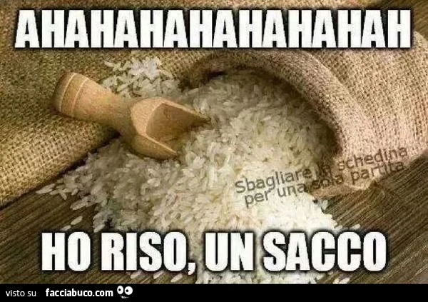 Ahahahahahahahaha ho riso un sacco