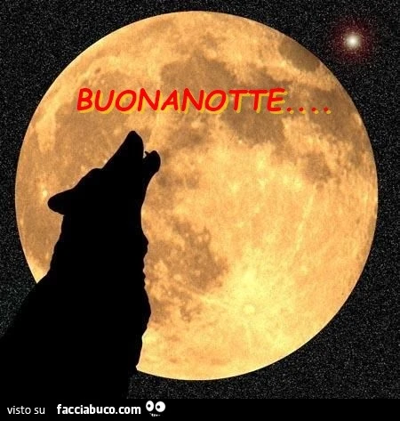 Lupo ulula alla luna. Buonanotte