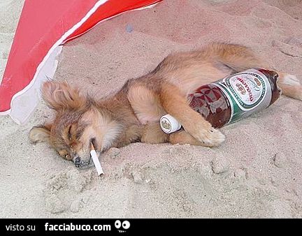 cagnolino ubriaco sulla spiaggia con sigaretta in bocca