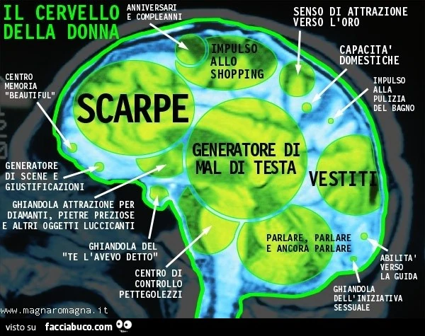 Il cervello della donna