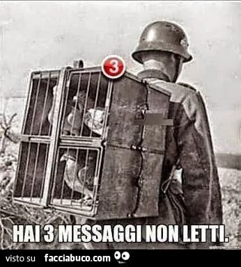 Hai 3 messaggi non letti