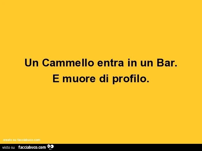Un cammello entra in un bar. E muore di profilo