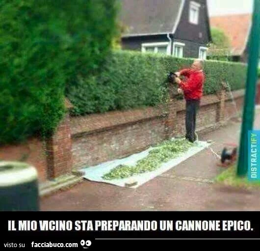 Il mio vicino sta preparando un cannone epico
