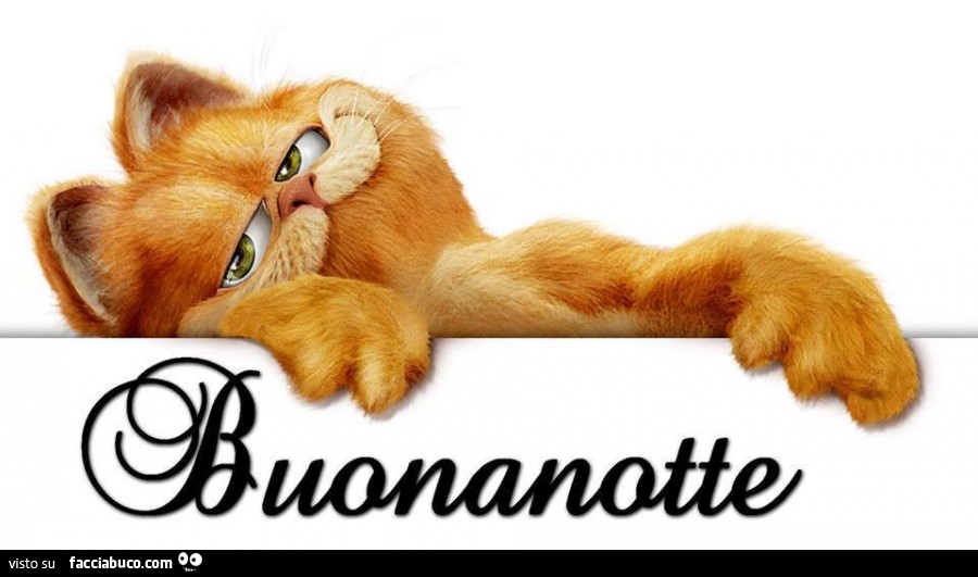 Garfield: buonanotte