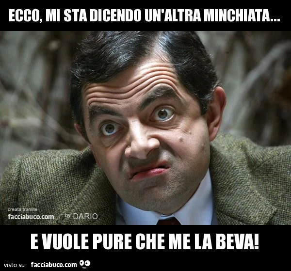 Ecco, mi sta dicendo un'altra minchiata&hellip; e vuole pure che me la beva