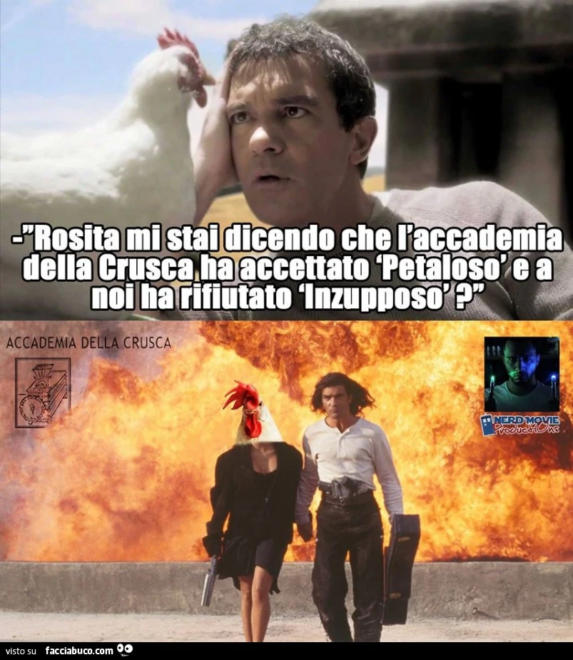 Rosita mi stai dicendo che l'accademia della Crusca ha accettato "Petaloso" e a noi ha rifiutato "Inzupposo"?