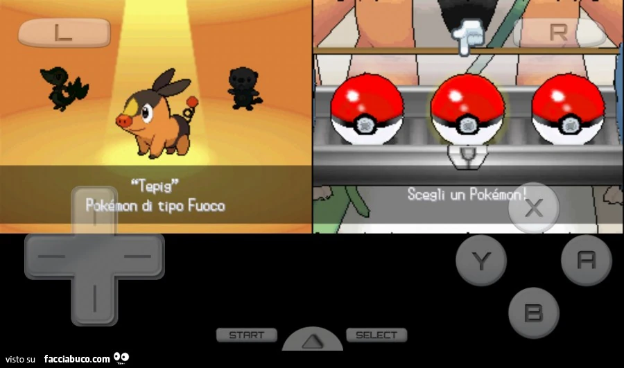 Pokemon sfera pocket