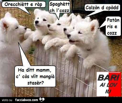Ha dìtt mamm, c' còs vlìt mangià stasèr? Orecchiètt e ràp. Spaghètt ch l'cozz. Calzòn d cpòdd. Patàn ris e cozz