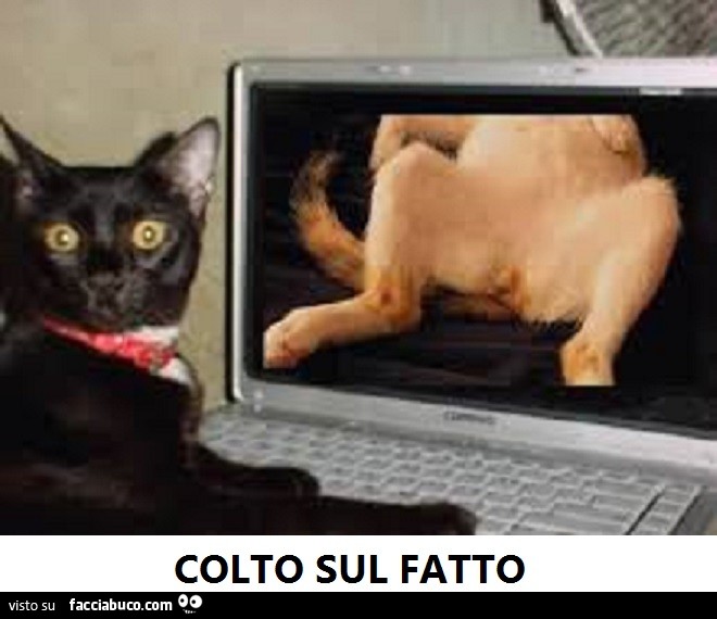 Guarda video porno