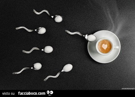 Cucchiaini di zucchero a forma di spermatozoi diretti all'ovulo che è una tazzina di caffè