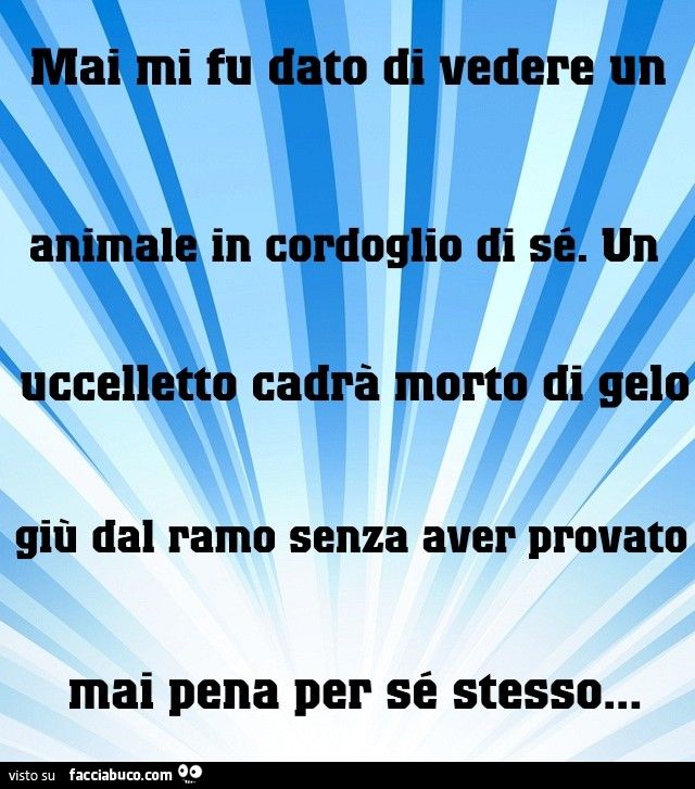 Mai mi fu dato di vedere un animale in cordoglio di se