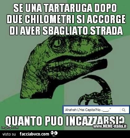 se una tartaruga dopo 2 km si accorge di aver sbagliato strada quanto può incazzarsi?