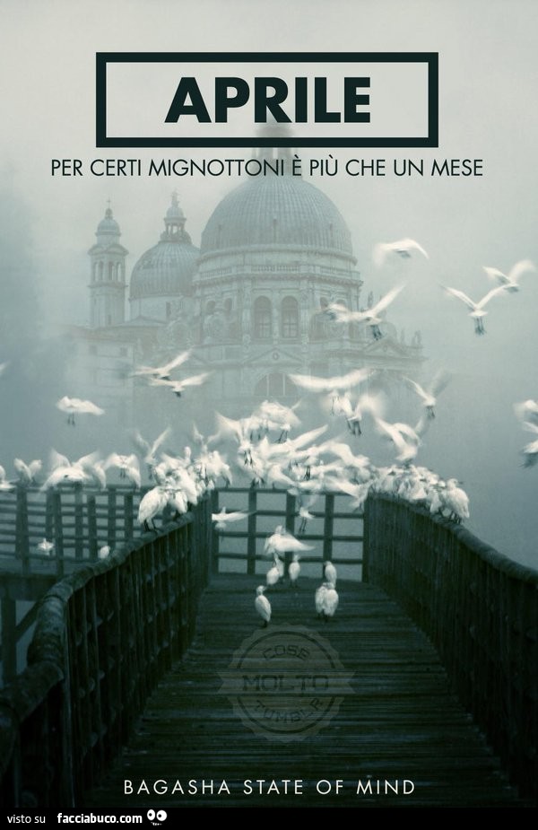 Aprile. Per certi mignottoni è più che un mese. Bagasha state of mind