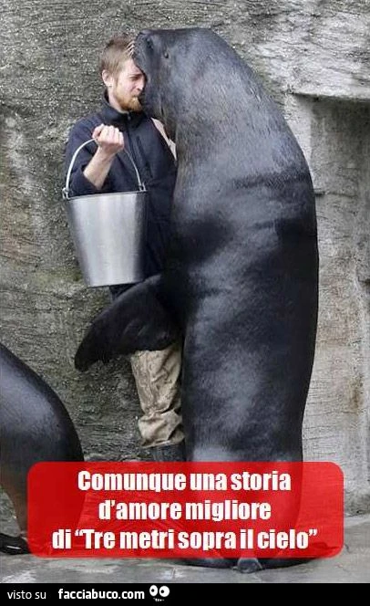 foca bacia ragazzo una storia d'amore migliore di tre metri sopra il cielo