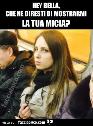 Hey bella, che ne diresti di mostrarmi la tua micia?