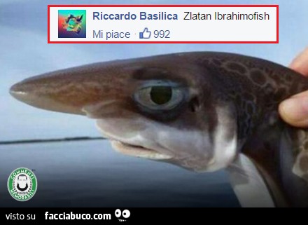 Zlatan Ibrahimofish