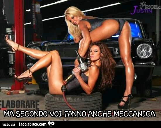 Ma secondo voi fanno anche meccanica?