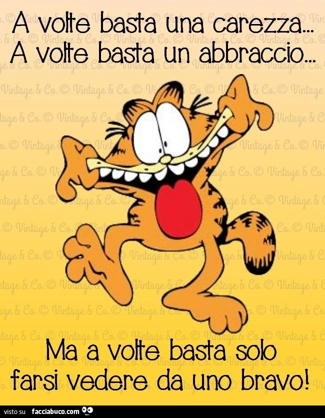 A volte basta una carezza, a volte basta un abbraccio, ma a volte basta solo farsi vedere da uno bravo