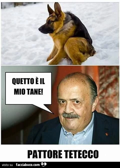 Quetto è il mio tane. Pattore tetecco
