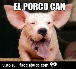 El porco can