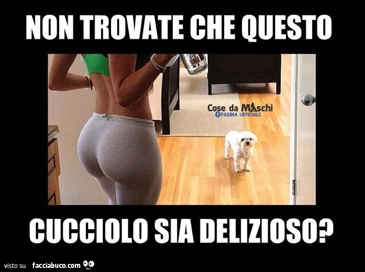 Non trovate che questo cucciolo sia delizioso?