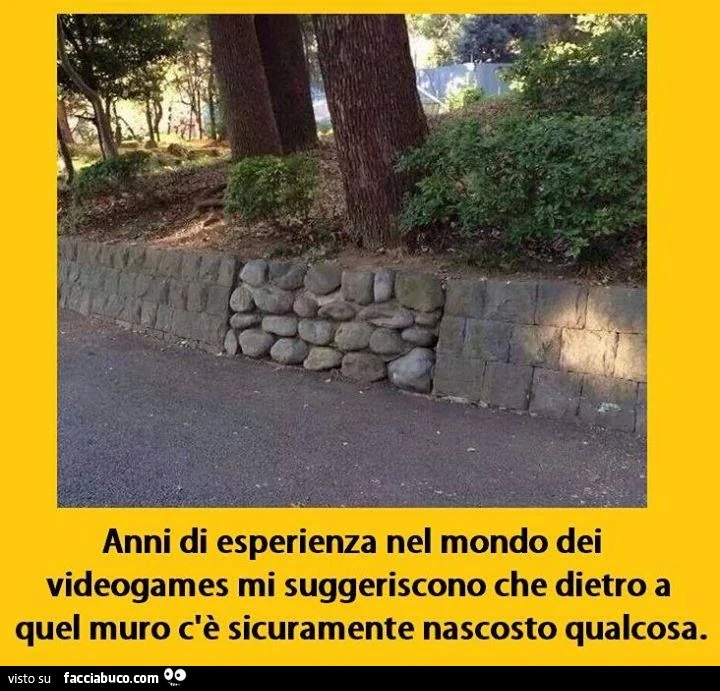 anni di esperienza nel mondo dei videogames mi suggeriscono che dietro a quel muro c'è sicuramente nascosto qualcosa