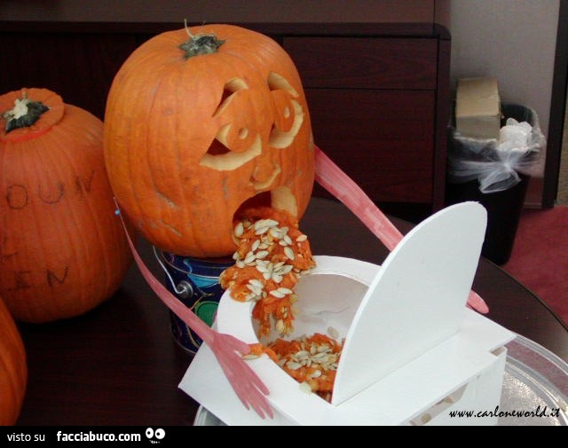 Zucca che vomita