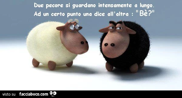 Due pecore si guardano intensamente a lungo. Ad un certo punto una dice all'altra: bè?