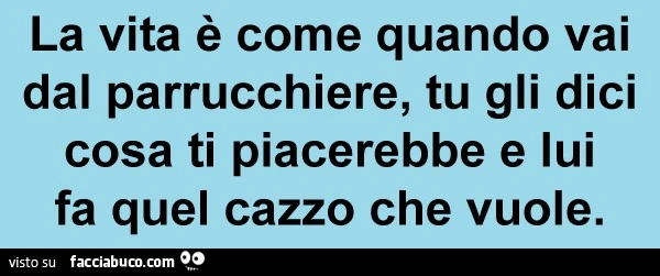 La vita è come quando vai dal parrucchiere, tu gli dici cosa ti piacerebbe e lui fa quel cazzo che vuole
