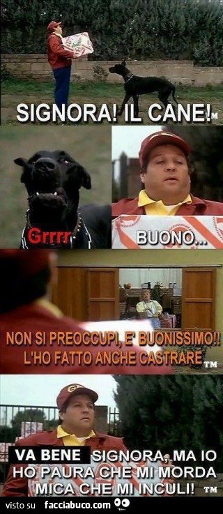 Renato Pozzetto: signora il cane!
