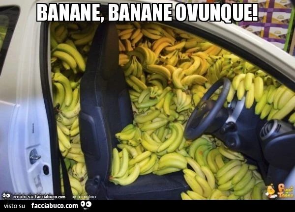 Banane, banane ovunque