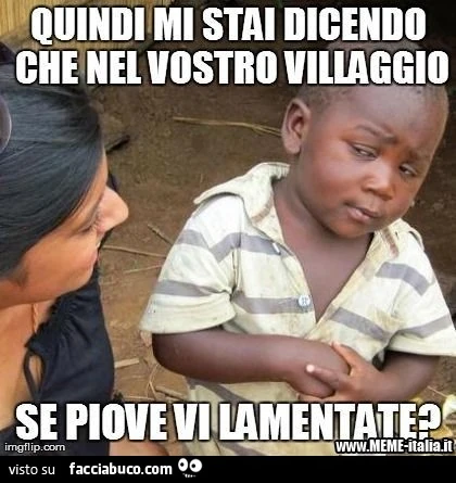 Quindi mi stai dicendo che nel vostro villaggio se piove vi lamentate?