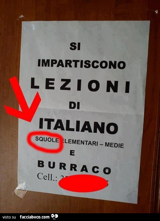Si impartiscono lezioni di Italiano squole elementari e medie