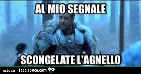 Al mio segnale scongelate l'agnello