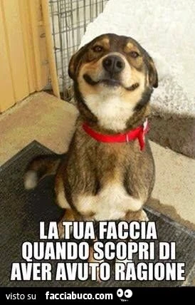 La tua faccia quando scopri di aver avuto ragione
