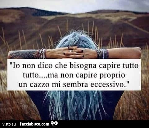 Io non dico che bisogna capire tutto tutto... ma non capire proprio un cazzo mi sembra eccessivo