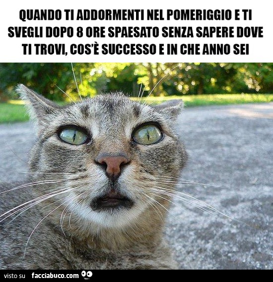 Quando ti addormenti nel pomeriggio e ti svegli dopo 8 ore spaesato senza sapere dove ti trovi, cos'è successo e in che anno sei