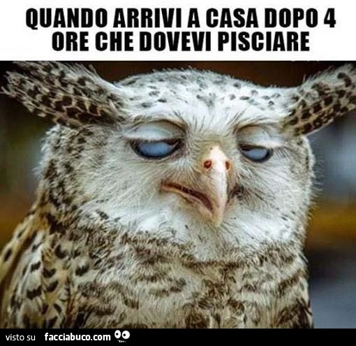Quando arrivi a casa dopo 4 ore che dovevi pisciare