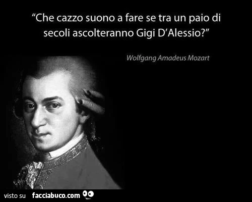 Che cazzo suono a fare se tra un paio di secoli ascolteranno gigi d'alessio? Wolfgang amadeus mozart