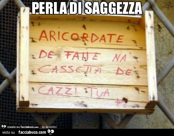 Perla di saggezza