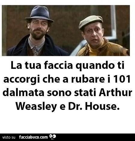 La tua faccia quando ti accorgi che a rubare i 101 dalmata sono stati Arthur Weasley e Dr. House